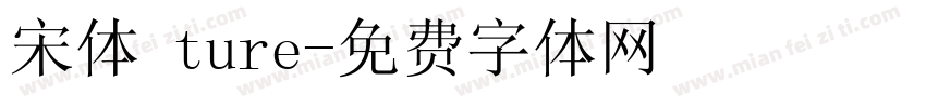 宋体 ture字体转换